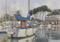 FRANK PARADISI